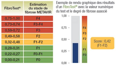 fibroscan interpretation|fibrose du foie espérance de vie.